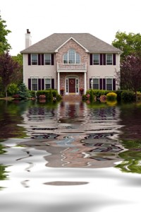 4 Signs Your Septic System Needs Repairs or Replacement